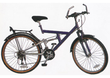 old ranger swing cycle